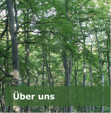 Über uns