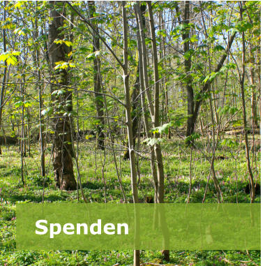 Spenden