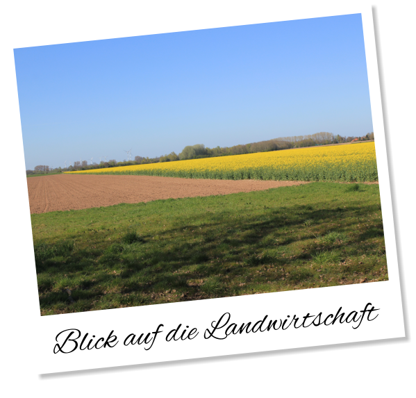 Blick auf die Landwirtschaft