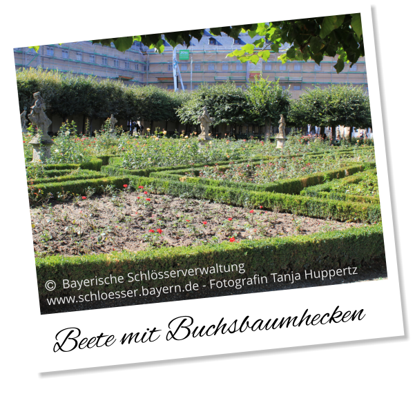 Beete mit Buchsbaumhecken   Bayerische Schlösserverwaltung  www.schloesser.bayern.de - Fotografin Tanja Huppertz