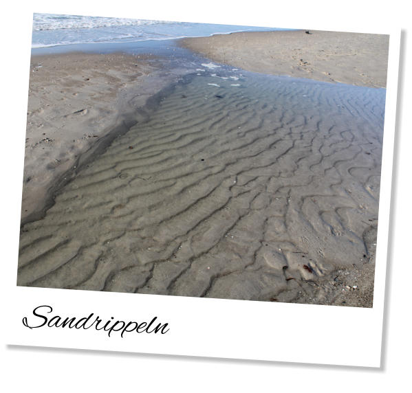 Sandrippeln