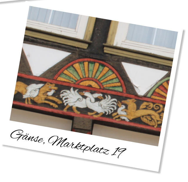 Gänse, Marktplatz 19