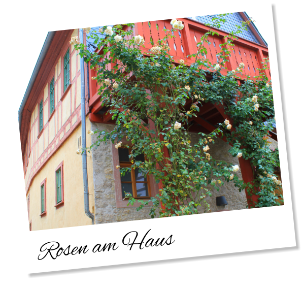 Rosen am Haus