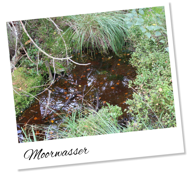 Moorwasser