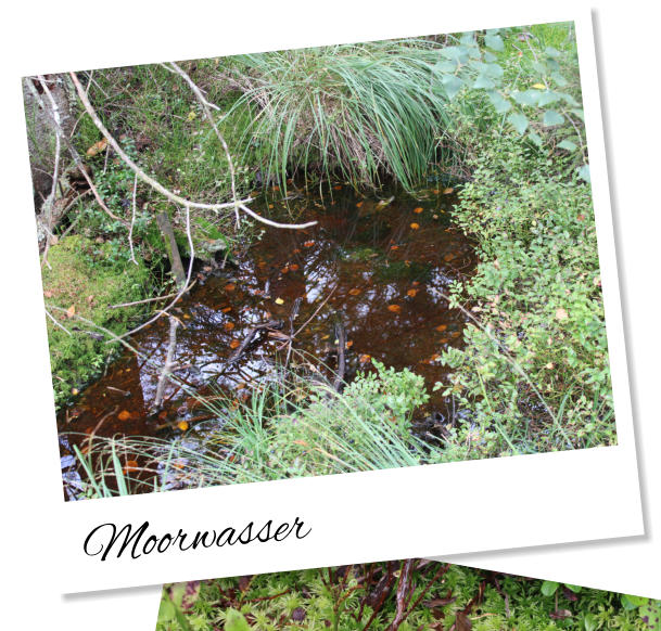 Moorwasser