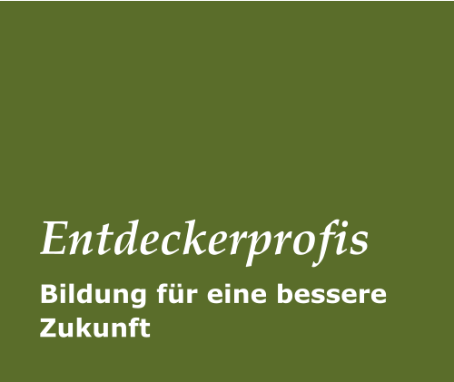 Bildung für eine bessere Zukunft Entdeckerprofis