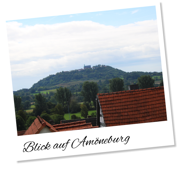 Blick auf Amöneburg