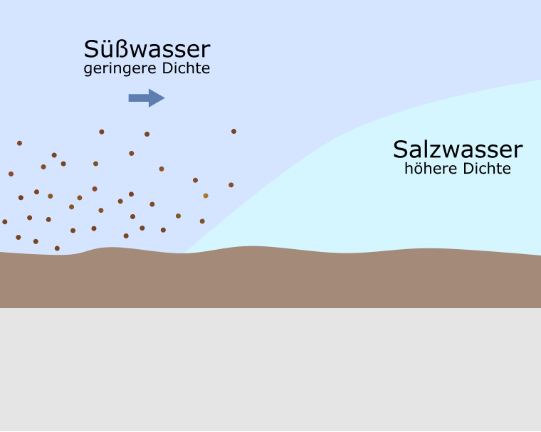 Süßwasser geringere Dichte Salzwasser höhere Dichte