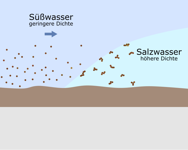 Süßwasser geringere Dichte Salzwasser höhere Dichte