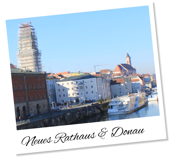 Neues Rathaus & Donau