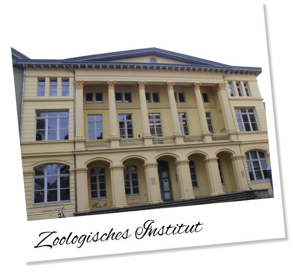 Zoologisches Institut