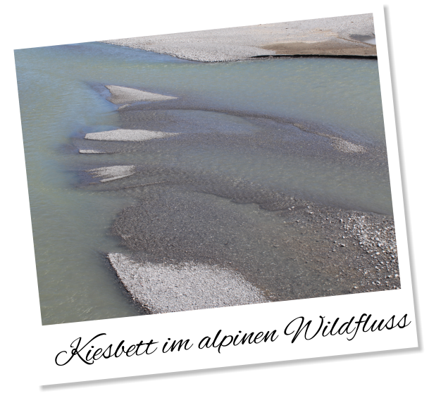 Kiesbett im alpinen Wildfluss