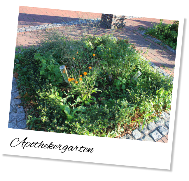 Apothekergarten