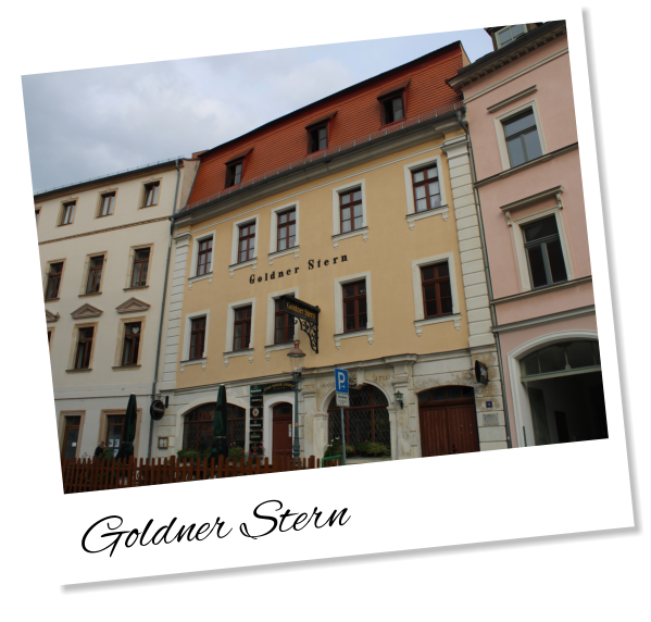 Goldner Stern
